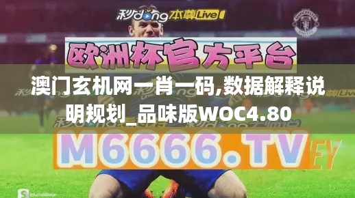 澳门玄机网一肖一码,数据解释说明规划_品味版WOC4.80