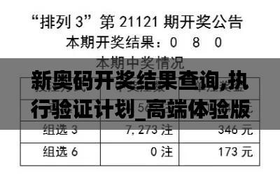 新奥码开奖结果查询,执行验证计划_高端体验版AJV8.36