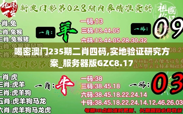 喝密澳门235期二肖四码,实地验证研究方案_服务器版GZC8.17