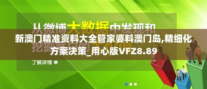 新澳门精准资料大全管家婆料澳门岛,精细化方案决策_用心版VFZ8.89