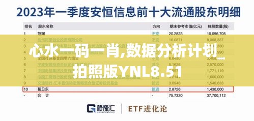 心水一码一肖,数据分析计划_拍照版YNL8.51