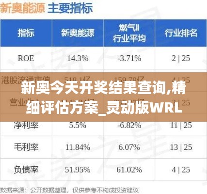 新奥今天开奖结果查询,精细评估方案_灵动版WRL8.90