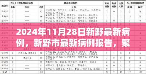 2024年11月28日新野市最新病例报告及要点分析