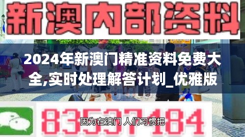 2024年新澳门精准资料免费大全,实时处理解答计划_优雅版YFZ4.46