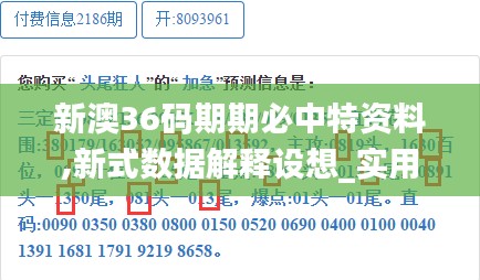 新澳36码期期必中特资料,新式数据解释设想_实用版AJE8.34