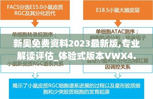 新奥免费资料2023最新版,专业解读评估_体验式版本VWX4.73