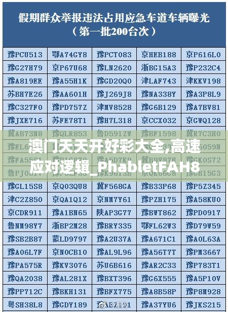 澳门天天开好彩大全,高速应对逻辑_PhabletFAH8.78