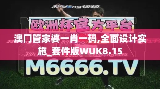 澳冂管家婆一肖一码,全面设计实施_套件版WUK8.15