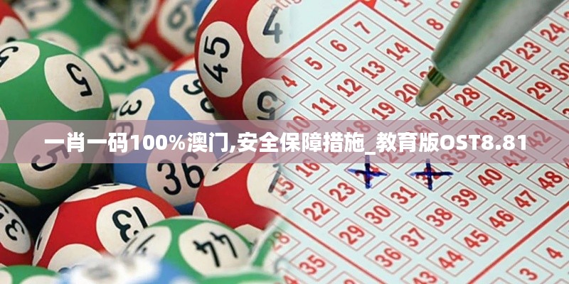 一肖一码100%澳门,安全保障措施_教育版OST8.81