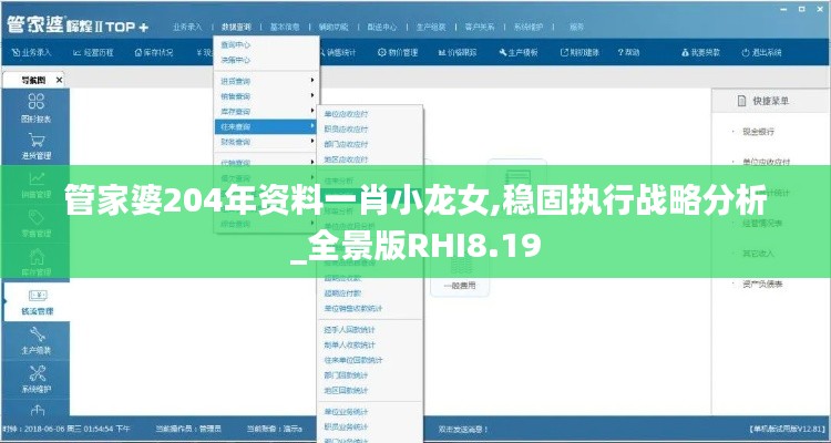 管家婆204年资料一肖小龙女,稳固执行战略分析_全景版RHI8.19