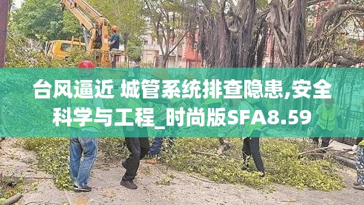 台风逼近 城管系统排查隐患,安全科学与工程_时尚版SFA8.59