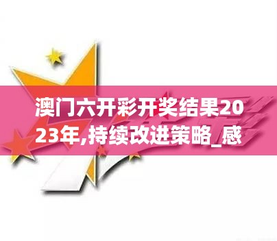 澳门六开彩开奖结果2023年,持续改进策略_感知版YKK8.77