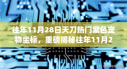 重磅揭秘，往年11月28日天刀热门紫色宠物坐标全解析——寻找你的专属伙伴！