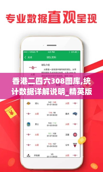 香港二四六308图库,统计数据详解说明_精英版GUD8.60