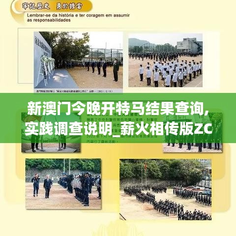 新澳门今晚开特马结果查询,实践调查说明_薪火相传版ZCU8.77