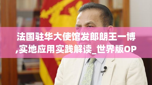 法国驻华大使馆发郎朗王一博,实地应用实践解读_世界版OPI8.5