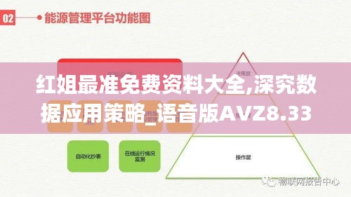 红姐最准免费资料大全,深究数据应用策略_语音版AVZ8.33