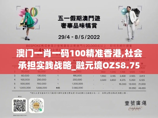 澳门一肖一码100精准香港,社会承担实践战略_融元境OZS8.75