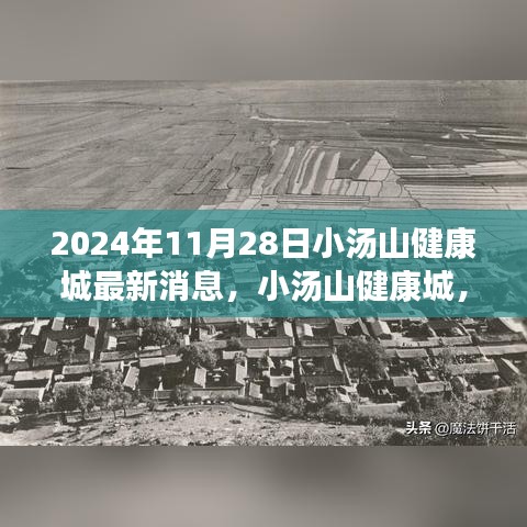 小汤山健康城最新进展，2024年11月28日的更新及其影响