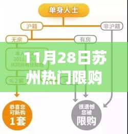 苏州热门限购政策全面解读及用户群体分析（2019年11月版）