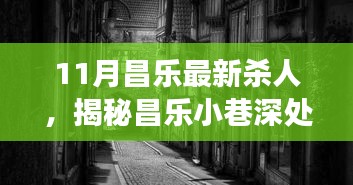 揭秘昌乐小巷深处的血案与奇店探秘之旅，11月最新杀人案探秘