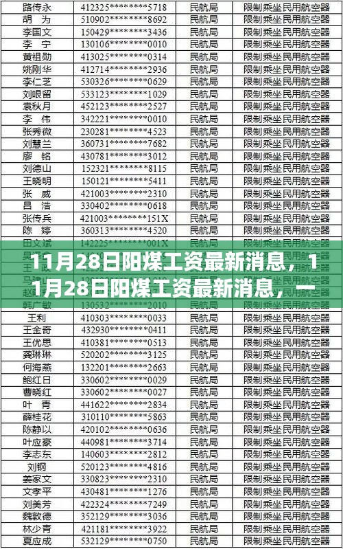 11月28日阳煤工资最新动态与心灵之旅，自然美景与内心宁静的追寻