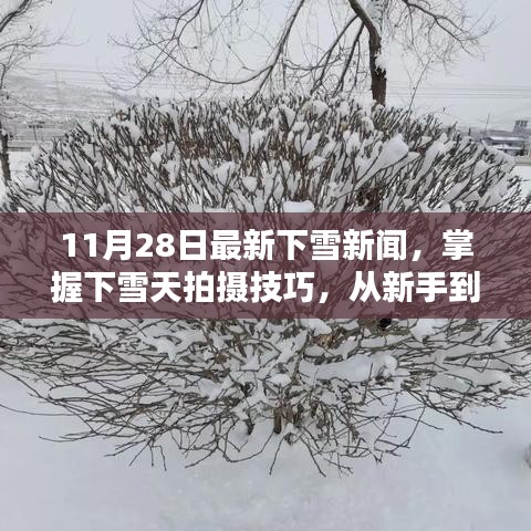 11月28日下雪新闻速递，从新手到进阶，下雪天拍摄技巧全解析