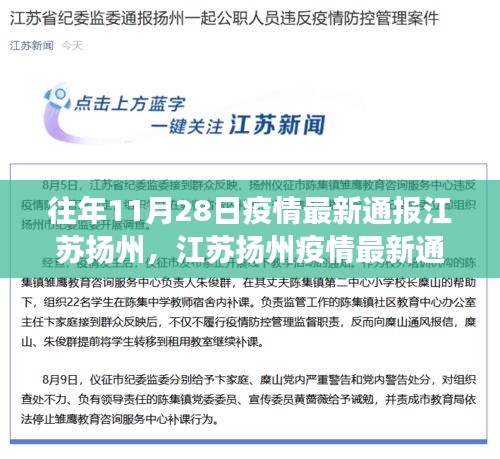 江苏扬州疫情最新通报深度解析，历年11月28日的回顾与洞察