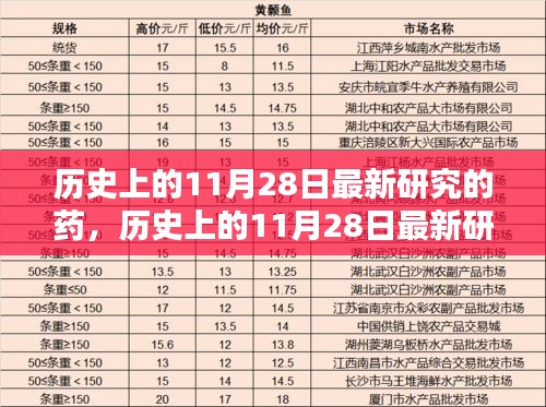 历史上的11月28日新药揭秘，全面评测与介绍