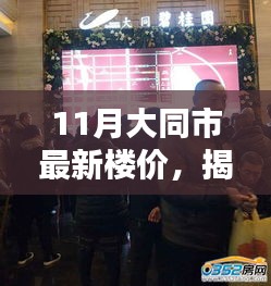 揭秘大同市最新楼价动态，楼市查询全攻略（初学者与进阶用户必看）