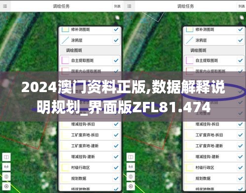 2024澳门资料正版,数据解释说明规划_界面版ZFL81.474