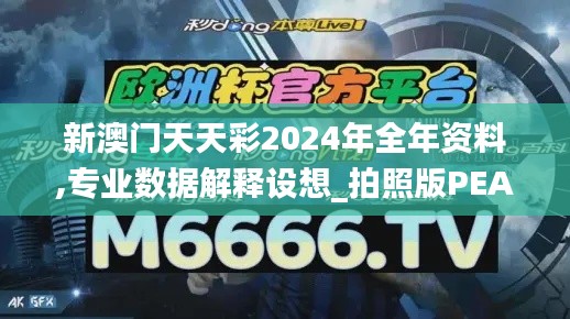 新澳门天天彩2024年全年资料,专业数据解释设想_拍照版PEA22.292