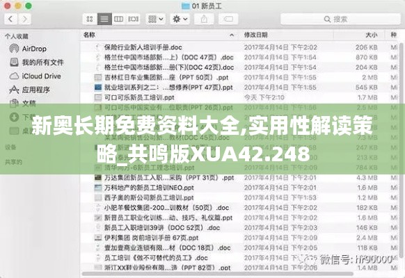 新奥长期免费资料大全,实用性解读策略_共鸣版XUA42.248