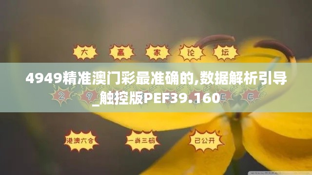 4949精准澳门彩最准确的,数据解析引导_触控版PEF39.160