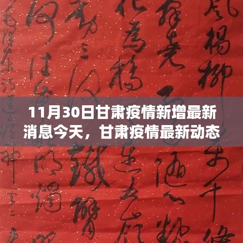 甘肃疫情最新动态，11月30日新增病例解读及最新动态报告