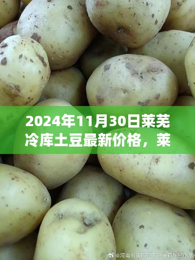 揭秘莱芜冷库土豆最新价格背后的故事