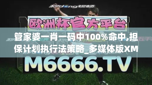 管家婆一肖一码中100%命中,担保计划执行法策略_多媒体版XMD24.145