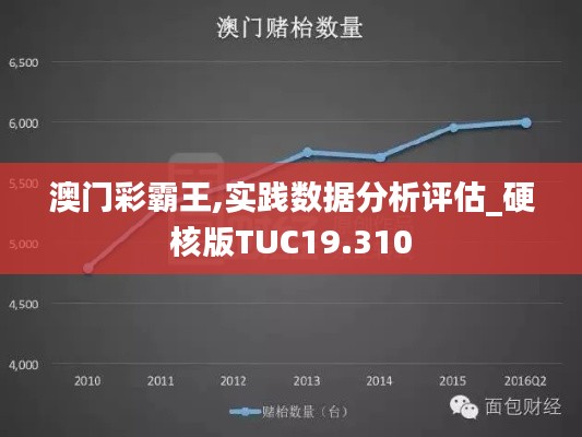 澳门彩霸王,实践数据分析评估_硬核版TUC19.310