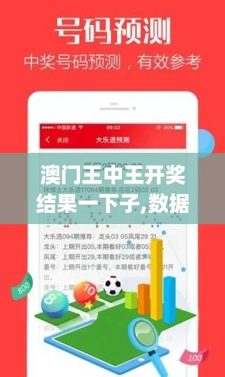 澳门王中王开奖结果一下子,数据科学解析说明_悬浮版ZHH85.644