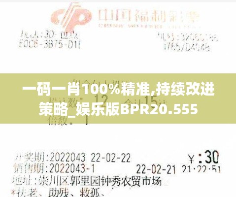 一码一肖100%精准,持续改进策略_娱乐版BPR20.555