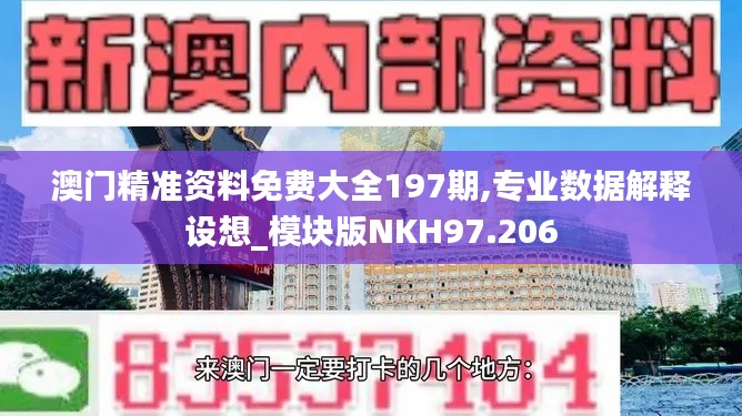 澳门精准资料免费大全197期,专业数据解释设想_模块版NKH97.206