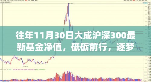 砥砺前行，见证成长力量——大成沪深300基金净值公布与逐梦投资海洋之路