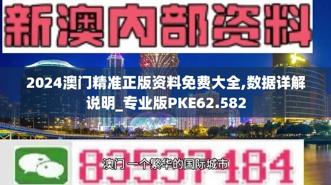 2024澳门精准正版资料免费大全,数据详解说明_专业版PKE62.582