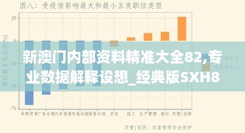 新澳门内部资料精准大全82,专业数据解释设想_经典版SXH89.395