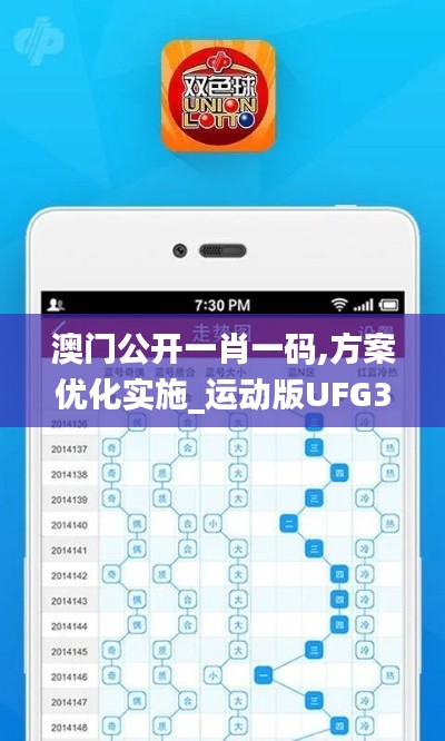 澳门公开一肖一码,方案优化实施_运动版UFG35.292
