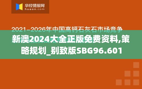 新澳2024大全正版免费资料,策略规划_别致版SBG96.601