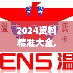 2024资料精准大全,执行机制评估_儿童版XPA49.731