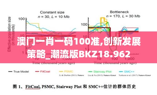 澳门一肖一码100准,创新发展策略_潮流版BKZ18.962