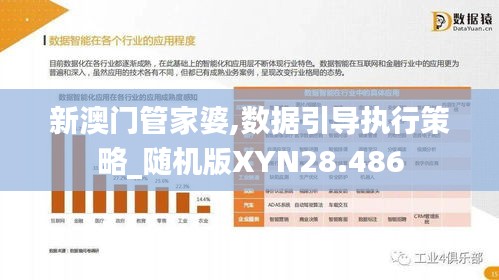 新澳门管家婆,数据引导执行策略_随机版XYN28.486