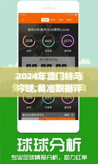 2024年澳门特马今晚,精准数据评估_效率版JTG41.762